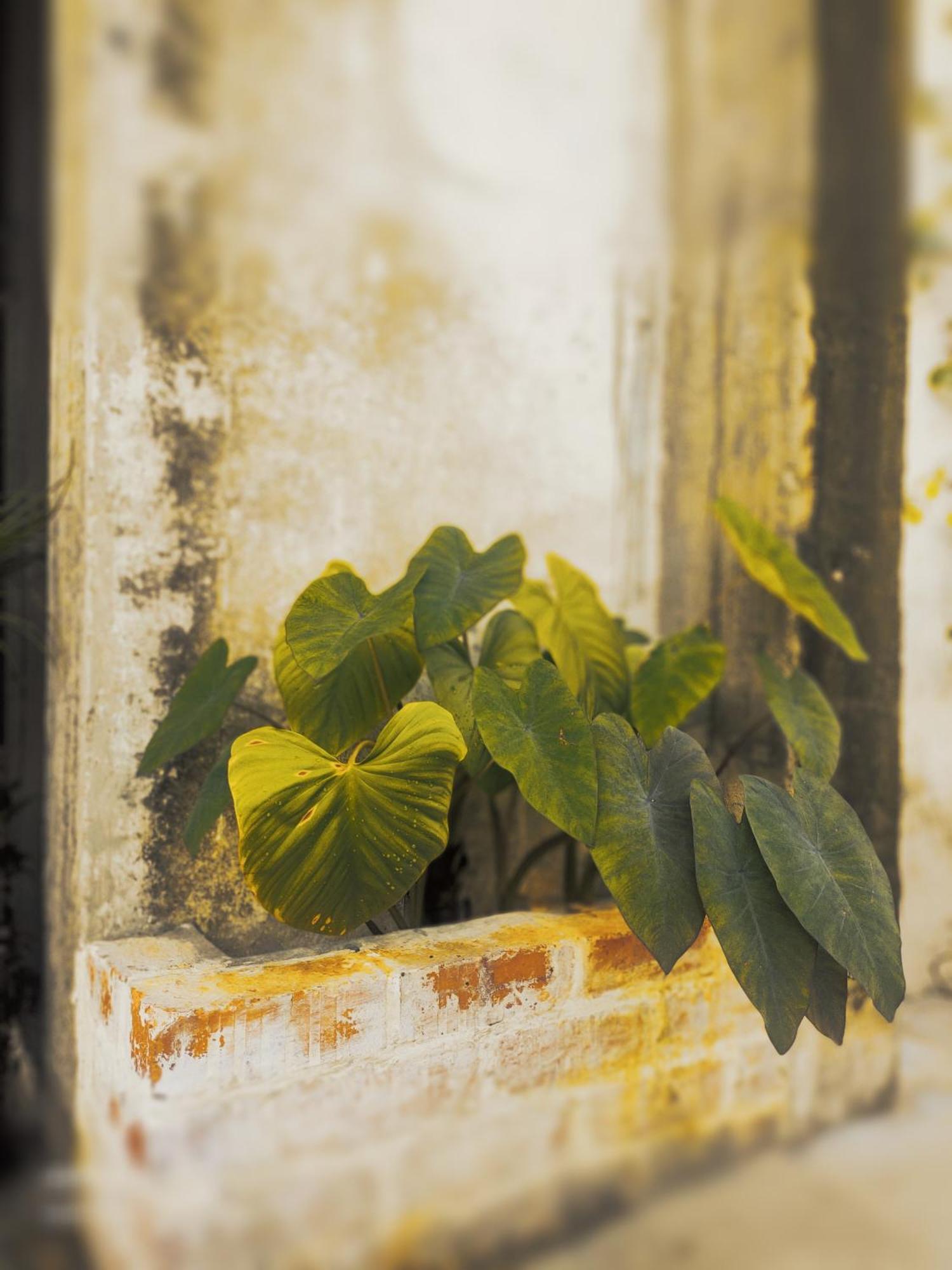 Ipoh Concrete Villa Zewnętrze zdjęcie